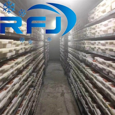 Brzo{0}}zamrzavanje morskih plodova u hladnom stanju za ravnu ploču